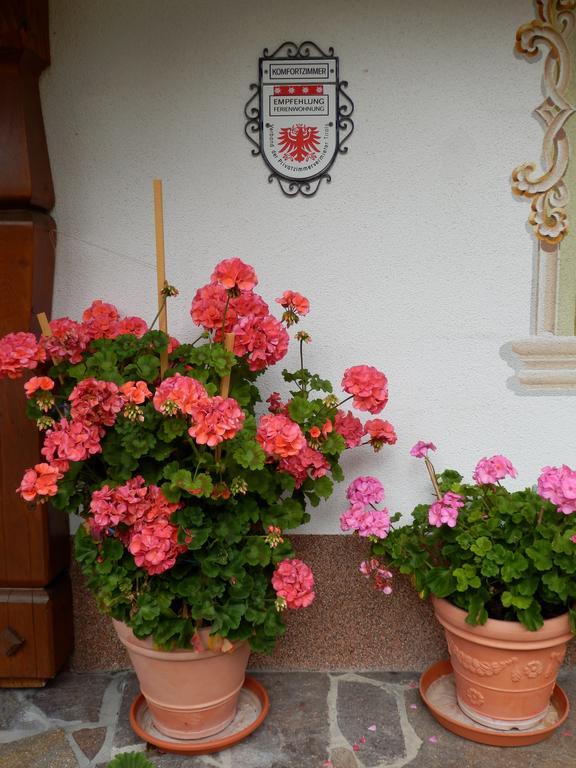 Haus Seebach بيروانغ المظهر الخارجي الصورة